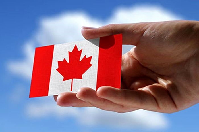 آیا میدانید برای اخذ جاب آفر کانادا چه شرایطی مورد نیاز است؟