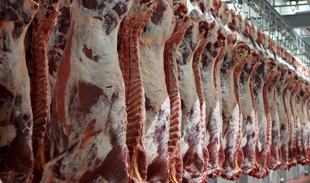 قیمت گوشت در استرالیا